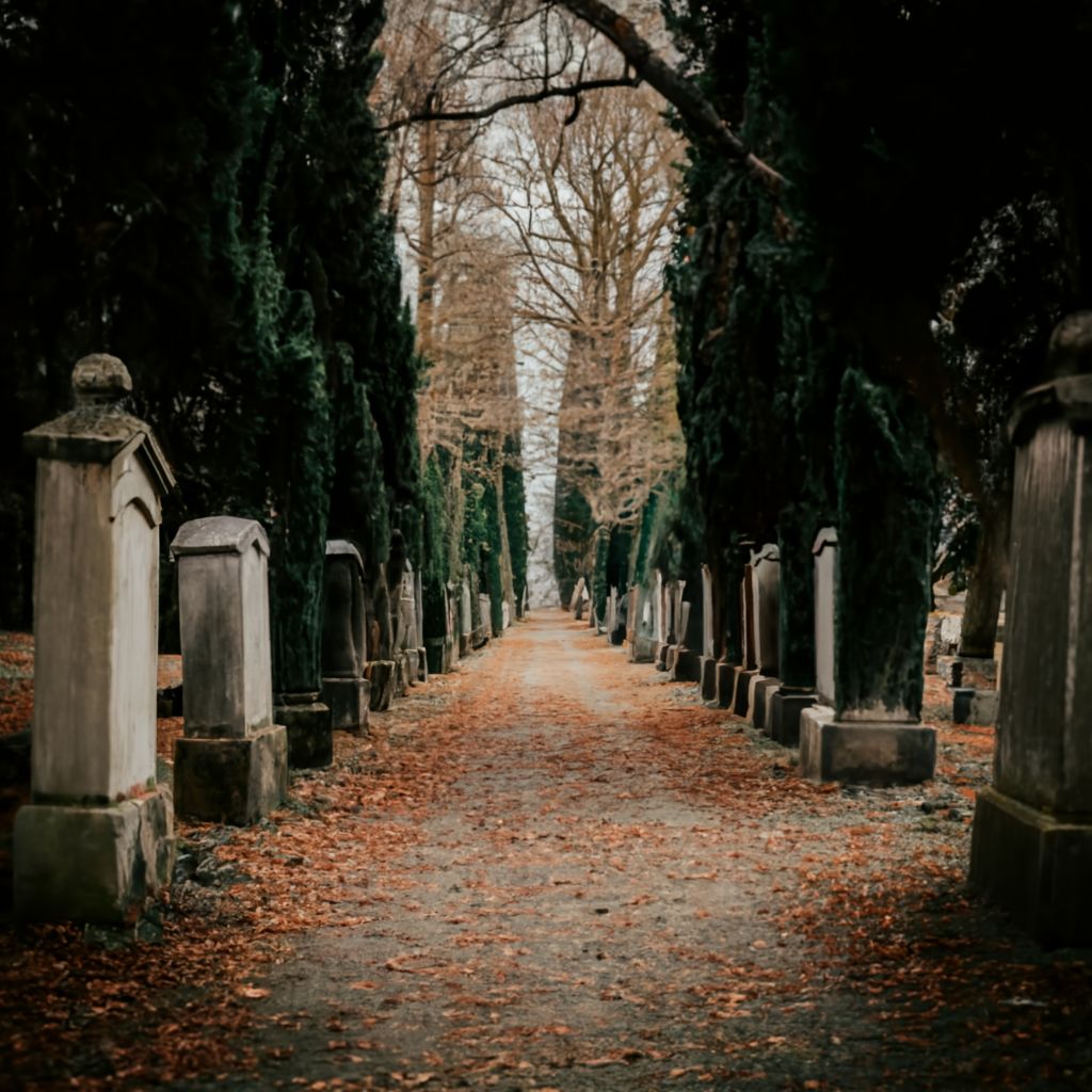 Friedhof 